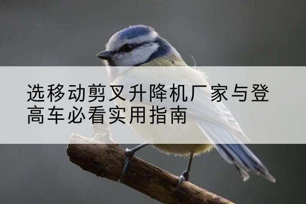 昭阳电动升降机厂家-选移动剪叉升降机厂家与登高车必看实用指南