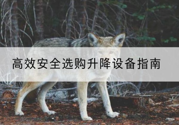 昭阳升降货梯厂家推荐-*安全选购升降设备指南