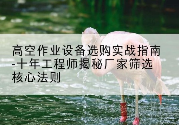 昭阳剪叉式升降机厂家-高空作业设备选购实战指南-十年工程师揭秘厂家筛选核心法则